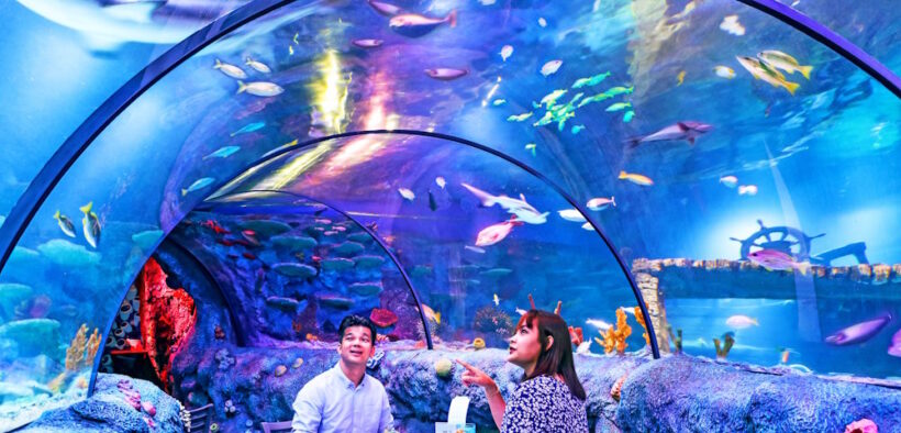 LEGOLAND Malaysia Underwater Dining