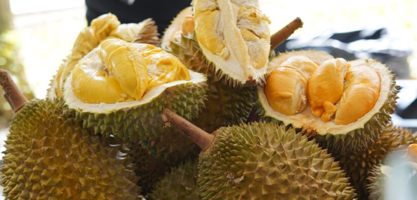 Durian Hub